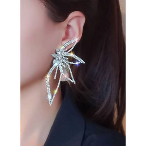 Fancy Formal Bling Rhinestone Earrings